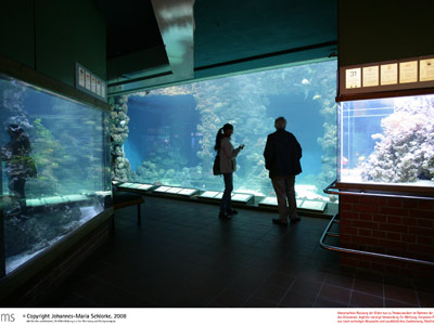 Ozeaneum Stralsund 